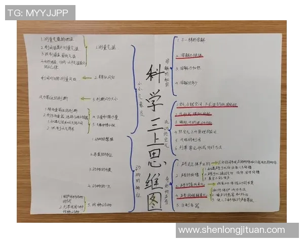 探索Bin上单位输出的优化策略与应用前景分析 探索Bin上单位输出的优化策略与应用前景分析
