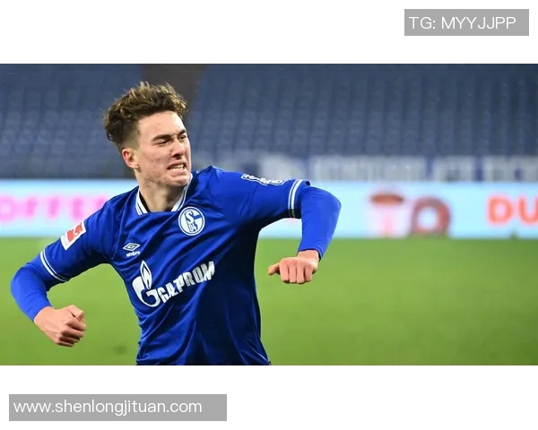 沙尔克04主场小胜告别征程重返德甲强队行列 沙尔克04主场小胜告别征程重返德甲强队行列